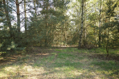Na sprzedaż działka budowlana - Nekielka -
wielkopolskie Zdjęcie nr 9