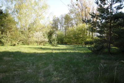 Na sprzedaż działka budowlana - Nekielka -
wielkopolskie Zdjęcie nr 10