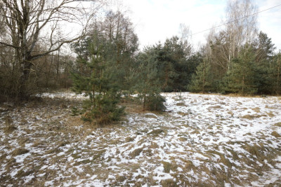 Na sprzedaż działka budowlana - Nekielka -
wielkopolskie Zdjęcie nr 5