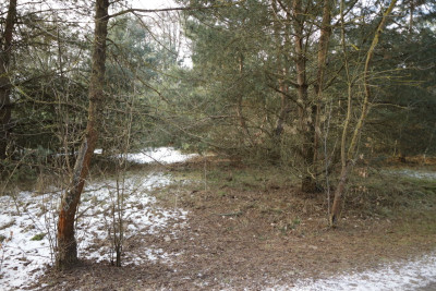 Na sprzedaż działka budowlana - Nekielka -
wielkopolskie Zdjęcie nr 7