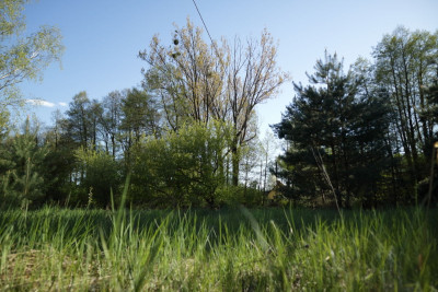 Na sprzedaż działka budowlana - Nekielka -
wielkopolskie Zdjęcie nr 9