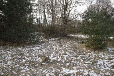 Na sprzedaż działka budowlana - Nekielka -
wielkopolskie Zdjęcie nr 6