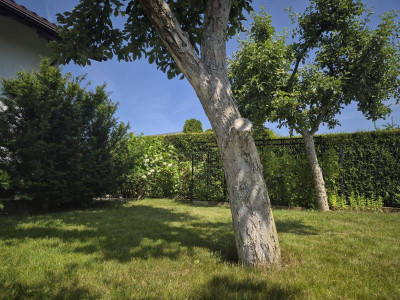 Na sprzedaż działka rolna - Poznań -
wielkopolskie Zdjęcie nr 10