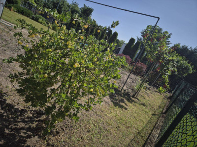 Na sprzedaż działka rolna - Poznań -
wielkopolskie Zdjęcie nr 4