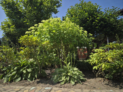 Na sprzedaż działka rolna - Poznań -
wielkopolskie Zdjęcie nr 5