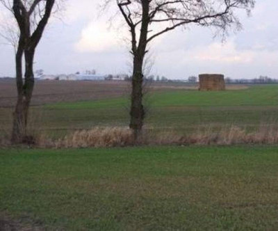 Na sprzedaż działka przemysłowa - Żerniki -
wielkopolskie Zdjęcie nr 10