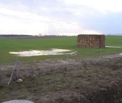 Na sprzedaż działka przemysłowa - Żerniki -
wielkopolskie Zdjęcie nr 4
