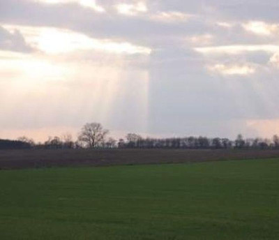 Na sprzedaż działka przemysłowa - Żerniki -
wielkopolskie Zdjęcie nr 8