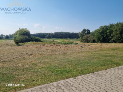 Działka 9900m2 - Babimost - Babimost  - lubuskie