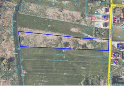 Działka 9900m2 - Babimost - Babimost  -
lubuskie Zdjęcie nr 2