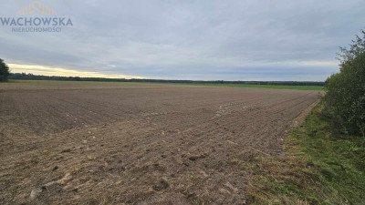 Działka budowlana - Podła Góra gm Skąpe - Podła Góra  -
lubuskie Zdjęcie nr 3