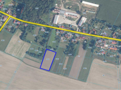 Działka budowlana - Podła Góra gm Skąpe - Podła Góra  -
lubuskie Zdjęcie nr 4