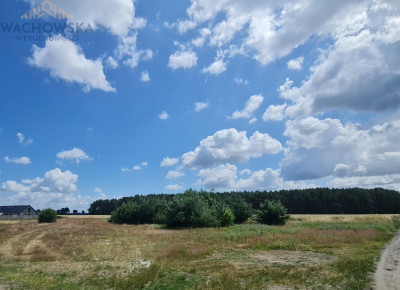 Działka 3053m2 - Głogusz gm Sulechów - Głogusz -
lubuskie Zdjęcie nr 4