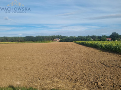 Działki budowlane - Bojadła ul Północna - Bojadła -
lubuskie
