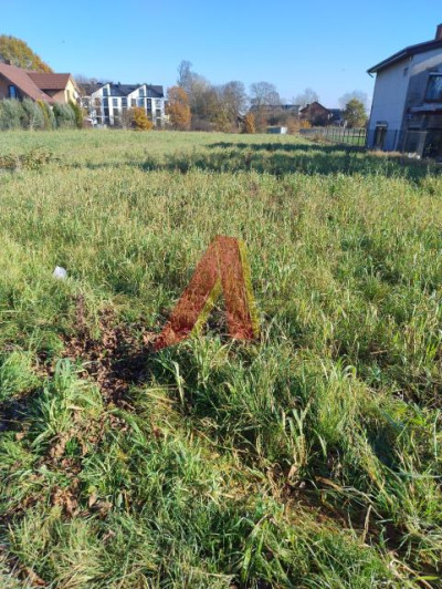 CICHE MIEJSCE  WEWNETRZNA DROGA ASFALTOWA - Rybitwy  - Małopolskie