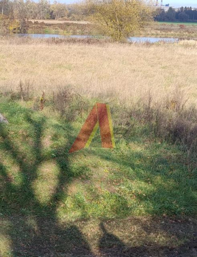 Przystań kajakowa 31arów - Rybitwy  - Małopolskie