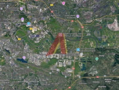 Przystań kajakowa 31arów - Rybitwy  -
Małopolskie Zdjęcie nr 7