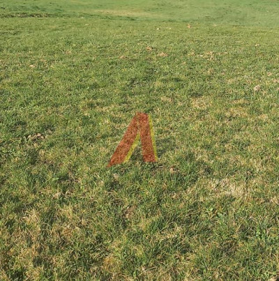 Park Bielański  działka około 30 arów - Tyniec  -
Małopolskie Zdjęcie nr 5