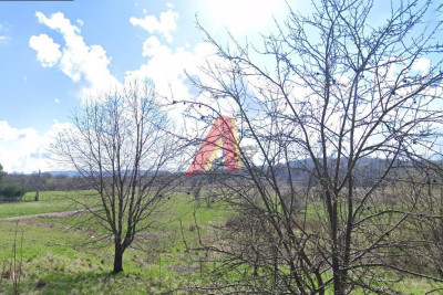 Działka 87arowa Usługowo Budowlana z terenem rolnym - Krzeszowice  -
Małopolskie Zdjęcie nr 6