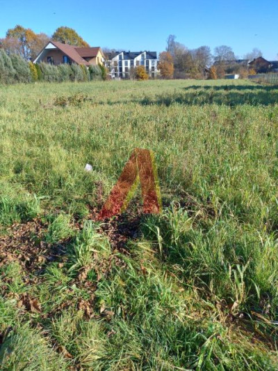 CICHE MIEJSCE  WEWNETRZNA DROGA ASFALTOWA - Rybitwy  -
Małopolskie Zdjęcie nr 2