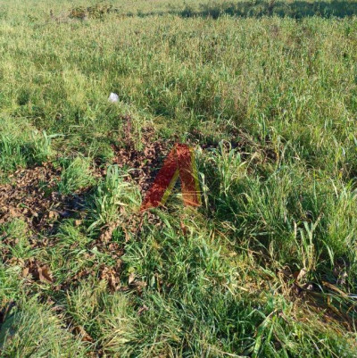 CICHE MIEJSCE  WEWNETRZNA DROGA ASFALTOWA - Rybitwy  -
Małopolskie Zdjęcie nr 3