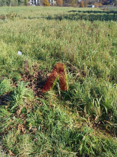 CICHE MIEJSCE  WEWNETRZNA DROGA ASFALTOWA - Rybitwy  -
Małopolskie Zdjęcie nr 4