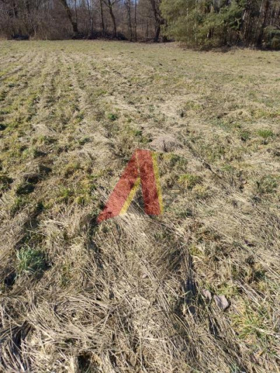 Działka szeroka ponad 21arowa - Bolechowice  -
Małopolskie Zdjęcie nr 14