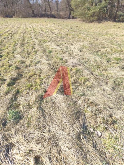 Działka szeroka ponad 21arowa - Bolechowice  -
Małopolskie Zdjęcie nr 3