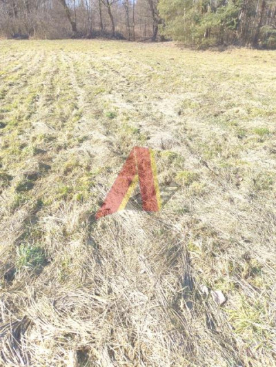 Działka szeroka ponad 21arowa - Bolechowice  -
Małopolskie Zdjęcie nr 5