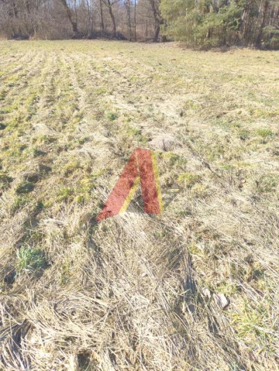 Działka szeroka ponad 21arowa - Bolechowice  -
Małopolskie Zdjęcie nr 8