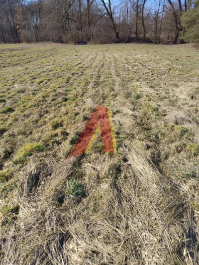 Działka szeroka ponad 21arowa - Bolechowice  -
Małopolskie Zdjęcie nr 9