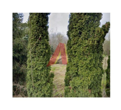 Działka Usługowa  Centrum Swoszowic - Swoszowice  -
Małopolskie Zdjęcie nr 13