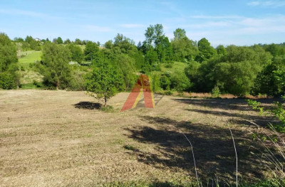 WIDOKOWA BARDZO BLISKO KRAKOWA - Golkowice  -
Małopolskie Zdjęcie nr 7