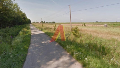 22 HEKTARY teren pod stadninę koni - Zabierzów Bocheński  -
Małopolskie Zdjęcie nr 2