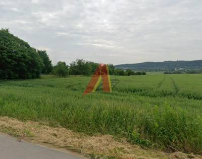 Działka 1ha w Więckowicach  - Więckowice  - Małopolskie