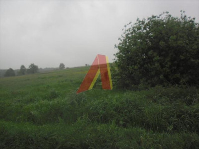 działka rolna - Modlnica   -
Małopolskie Zdjęcie nr 5