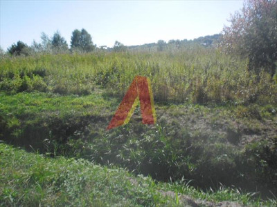 DZIAŁKA ROLNA - Skotniki   -
Małopolskie Zdjęcie nr 11