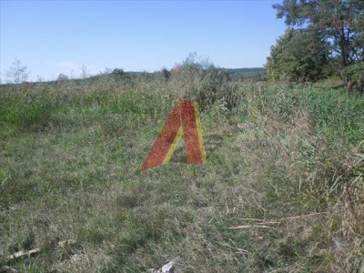 DZIAŁKA ROLNA - Skotniki   -
Małopolskie