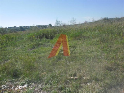 DZIAŁKA ROLNA - Skotniki   -
Małopolskie Zdjęcie nr 4