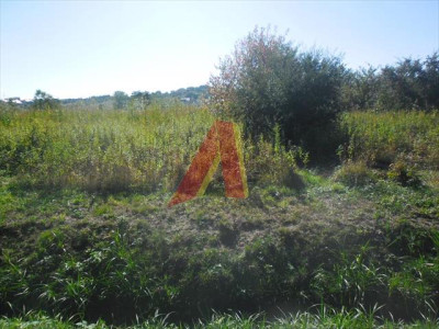 DZIAŁKA ROLNA - Skotniki   -
Małopolskie Zdjęcie nr 5