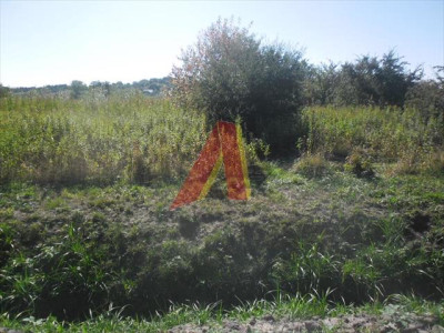 DZIAŁKA ROLNA - Skotniki   -
Małopolskie Zdjęcie nr 7