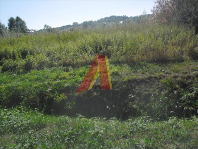 DZIAŁKA ROLNA - Skotniki   -
Małopolskie Zdjęcie nr 8