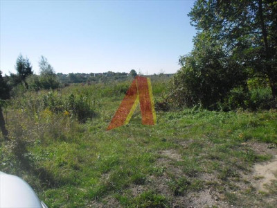DZIAŁKA ROLNA - Skotniki   -
Małopolskie Zdjęcie nr 9