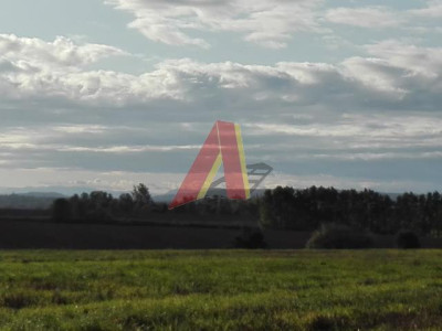 USŁUGI Agroturystyczne - Bolechowice   -
Małopolskie Zdjęcie nr 10