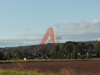 USŁUGI Agroturystyczne - Bolechowice   -
Małopolskie Zdjęcie nr 11
