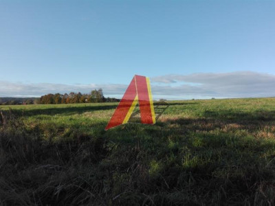 USŁUGI Agroturystyczne - Bolechowice   -
Małopolskie Zdjęcie nr 14