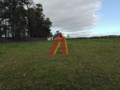USŁUGI Agroturystyczne - Bolechowice   -
Małopolskie