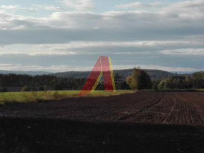 USŁUGI Agroturystyczne - Bolechowice   -
Małopolskie Zdjęcie nr 5
