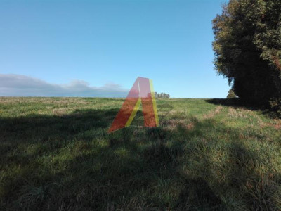 USŁUGI Agroturystyczne - Bolechowice   -
Małopolskie Zdjęcie nr 7