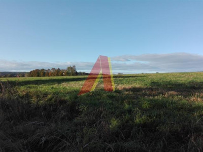 USŁUGI Agroturystyczne - Bolechowice   -
Małopolskie Zdjęcie nr 8